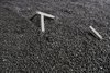 T  REE O  GO  D  EVIL_19
